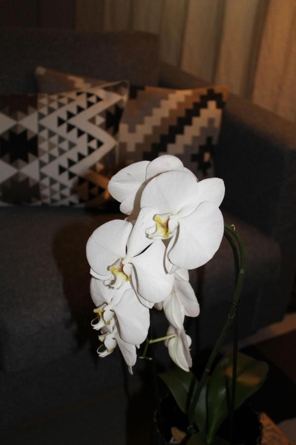 Sound Of Music World Appartement ซาลซ์บูร์ก ภายนอก รูปภาพ